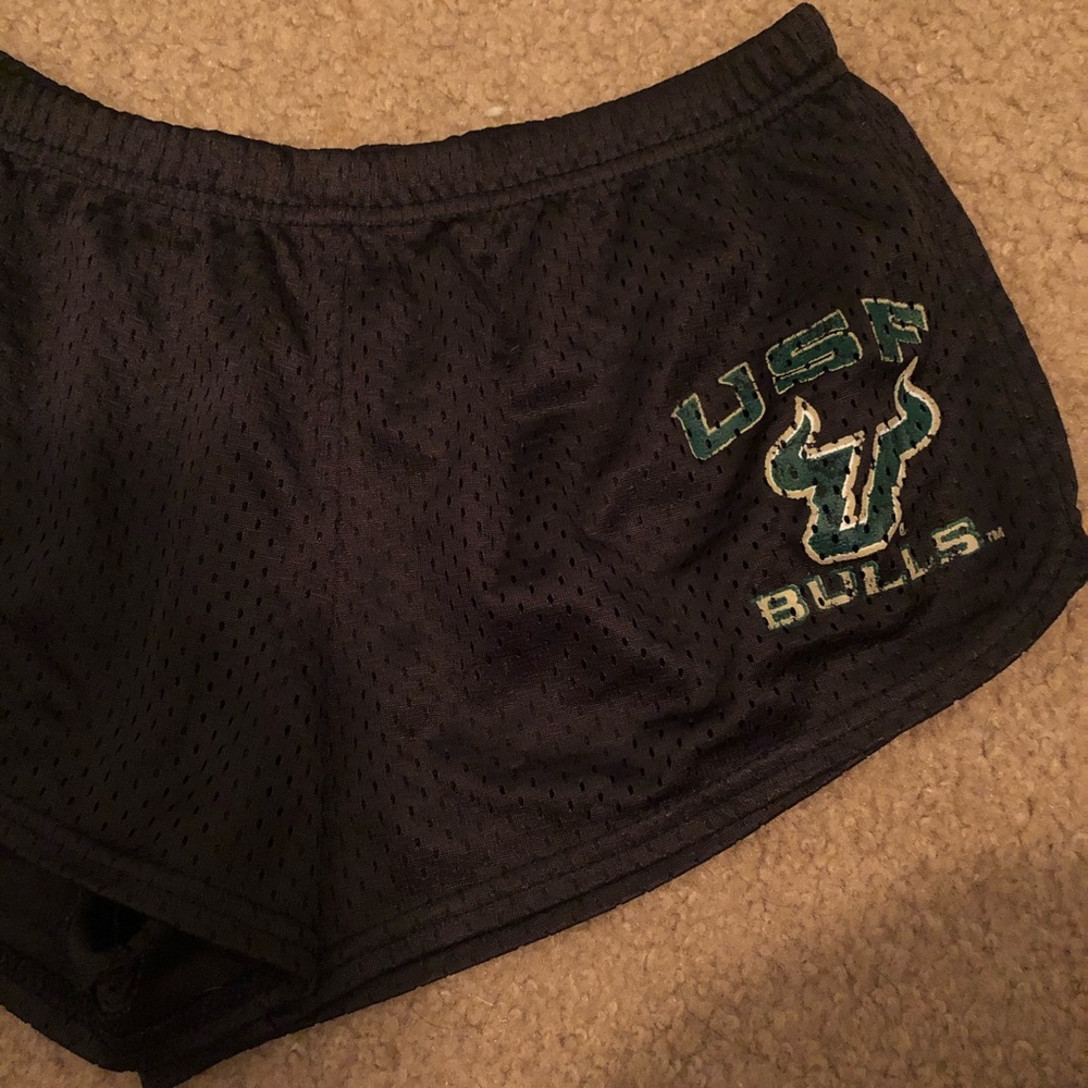 🔆• sofee USF shorts •